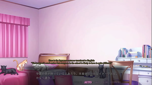 Saimin Seishidou -Secret Lesson- Takanashi Shizuku (cat) route 3