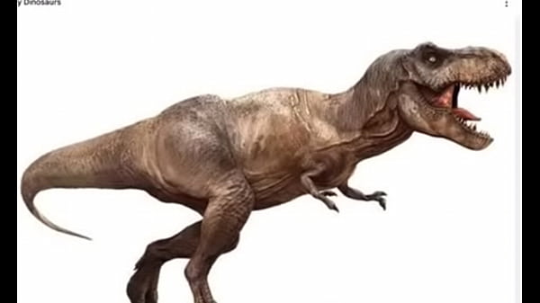T rex edit